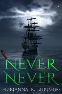 BOOK REVIEW – Never Never by Brianna Shrum