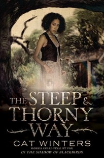 BOOK REVIEW – The Steep and Thorny Way by Cat Winters