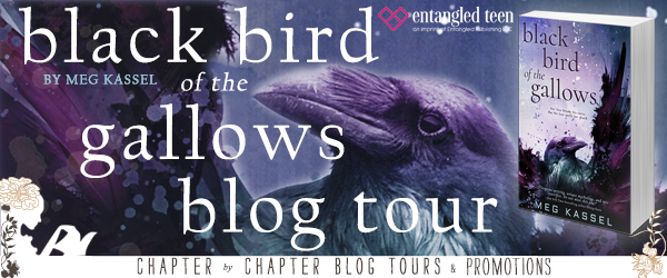 BOOK REVIEW + GIVEAWAY - Black Bird of the Gallows by Meg Kassel