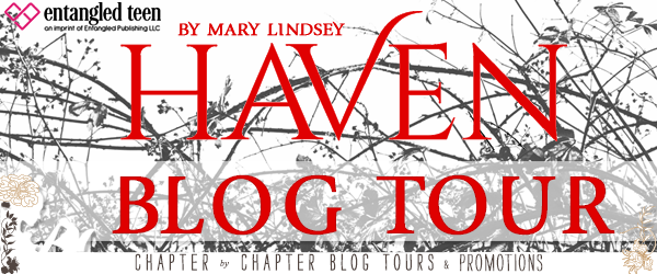BOOK REVIEW + GIVEAWAY - Haven by Mary Lindsey
