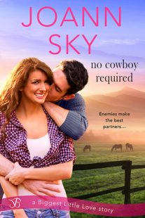 REVIEW – No Cowboy Required by JoAnn Sky