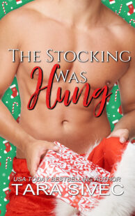 BOOK REVIEW: The Stocking Was Hung (The Holidays #1) by Tara Sivec