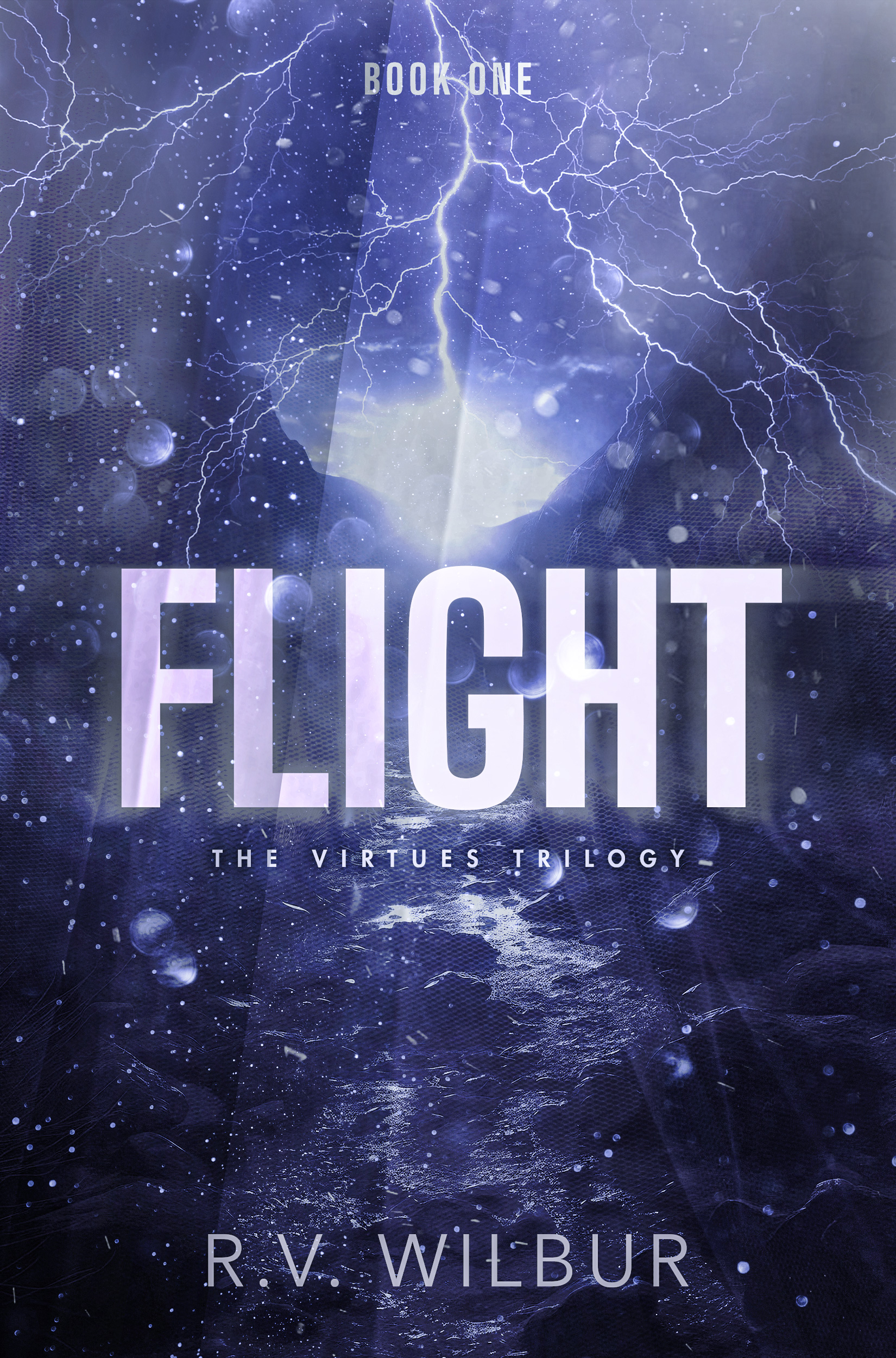 Flight by R.V. Wilbur