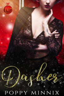 BOOK REVIEW: Dasher by Poppy Minnix